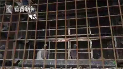 哭笑不得……男子为报复房东偷走40只信鸽涮火锅，吃完后悔了