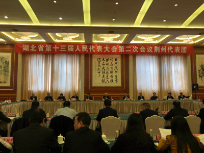 省十三届人大二次会议荆州代表团举行全体会议