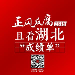 湖北省纪委监委最新通报！一图读懂2018年湖北正风反腐“成绩单”！