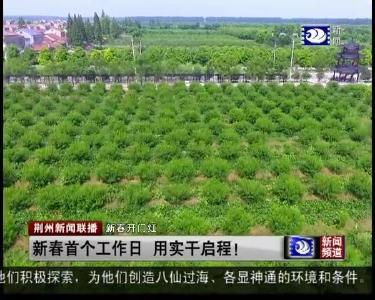 荆州新闻联播 2019-02-11