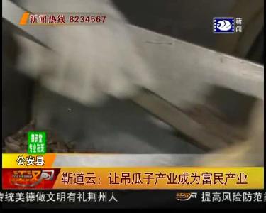 靳道云：让吊瓜子产业成为富民产业