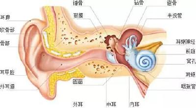 年轻人别担心头发了，你都要聋了！