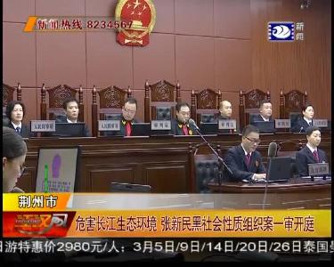 危害长江生态环境 张新民黑社会性质组织案一审开庭