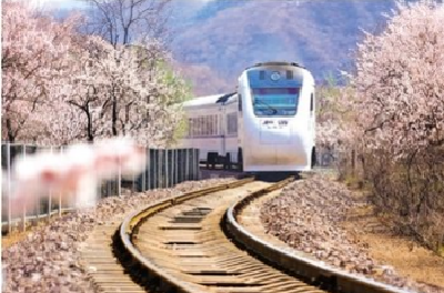 热盼中国春节游客，这些国家出了“大招”