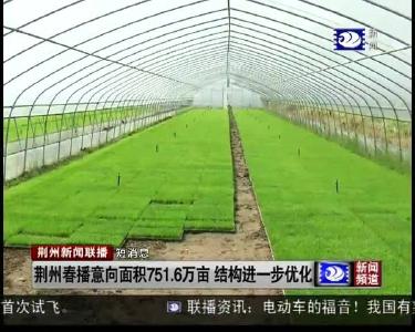 短消息：荆州春播意向面积751.6万亩 结构进一步优化