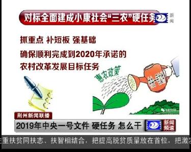 2019年中央一号文件 硬任务 怎么干