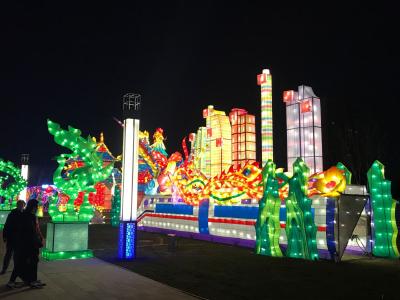 荆州举办多种年俗活动 吸引了不少游客参观游览 