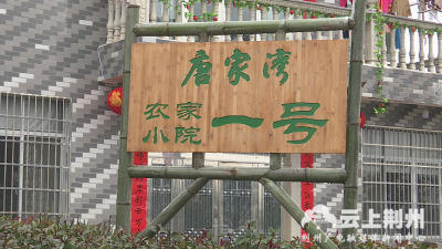 沙市区岑河镇陈龙村全力打造“荆楚工匠第一村”