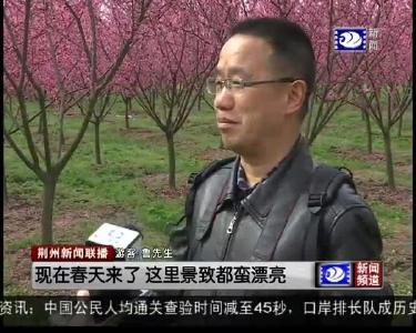 产业引领全域旅游 打造城市“后花园”