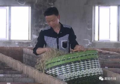 惊呆！公安小伙竟然靠养“老鼠”挣钱！