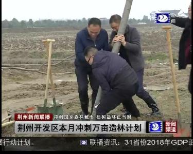 荆州开发区本月冲刺万亩造林计划