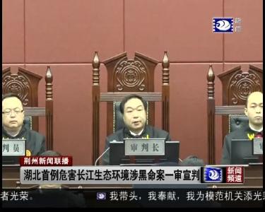 湖北首例危害长江生态环境涉黑命案一审宣判