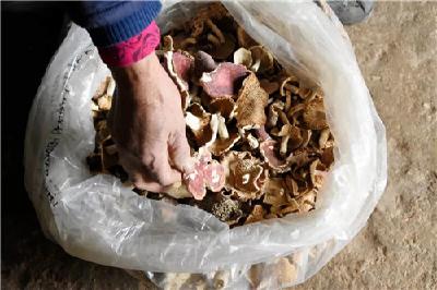 一年四季不得闲！松滋花甲独臂老人一个信念改变一生