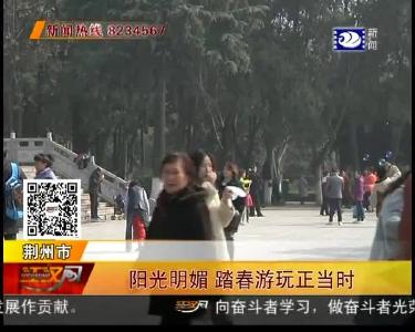 阳光明媚 踏春游玩正当时