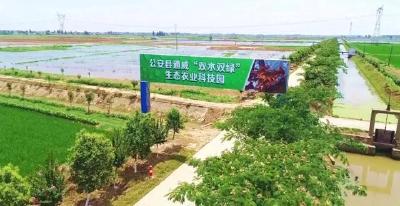 3年建75.2万亩 公安县打造“双水双绿”产业发展高地