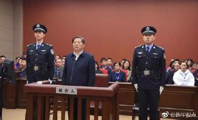 获刑14年！鲁炜案一审宣判