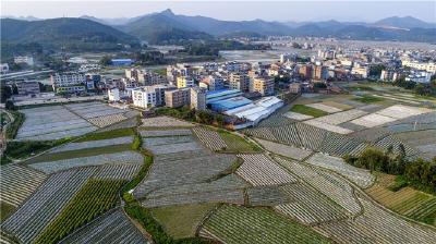 第三次全国国土调查：基础数据收集完成 实地调查启动