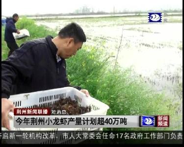 短消息：今年荆州小龙虾产量计划超40万吨