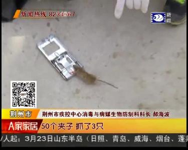 如何预防流行性出血热？专家提醒：积极接种疫苗