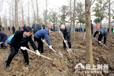 荆州启动“绿化荆江 全力创森”义务植树活动 ,两年计划在长江两岸造林36.8万亩