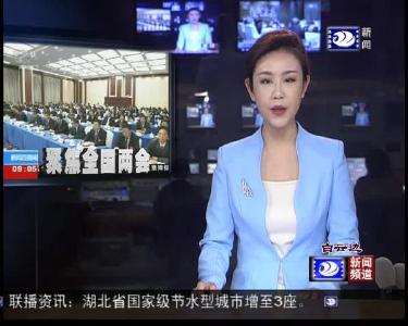 央视《新闻直播间》播出全国人大代表崔永辉发言