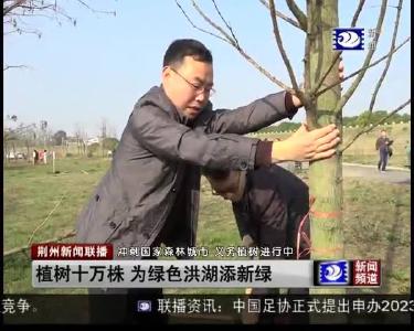 城管执法委：在长江边植下一片新绿