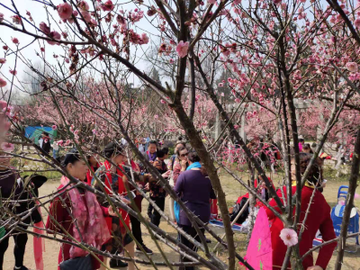 不负春光不负晴，与“花花世界”来个约会吧！