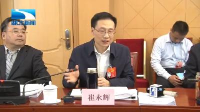 【直击全国两会】崔永辉：建议将荆州的平原湖区纳入重点生态功能区