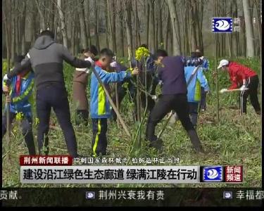 建设沿江绿色生态廊道 绿满江陵在行动