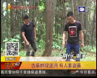 古墓群现盗洞 有人要盗墓