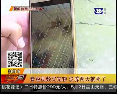 看短视频买宠物 没养两天就死了