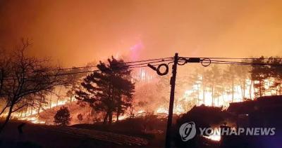 韩国东海岸发生山林大火 政府宣布为“国家灾难”