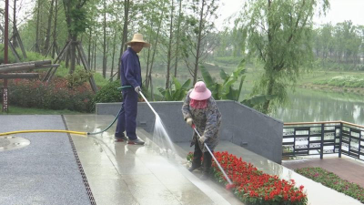 边看边查边解决 市城管委现场检查中心城区重点路段