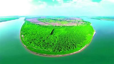 “画”说长江大保护 绿漾大江 荆州重现梦里水乡！