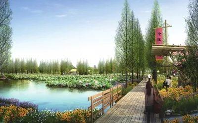 环长湖湿地修复工程：为新区发展装上“绿色引擎”