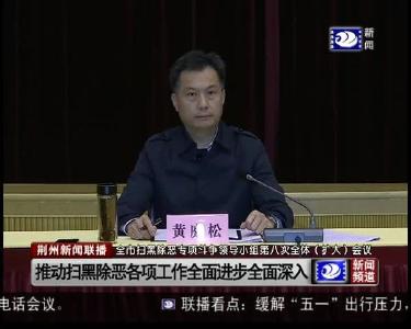 全市扫黑除恶专项斗争领导小组第八次全体（扩大）会议