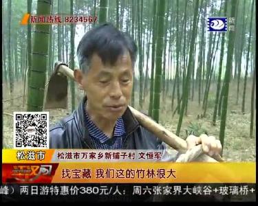 寻找竹林深处的“宝藏”