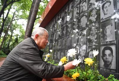 今日清明，少时难识清明意 如今满襟故人情