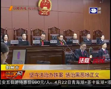 坚守法治办铁案 惩治黑恶扬正义