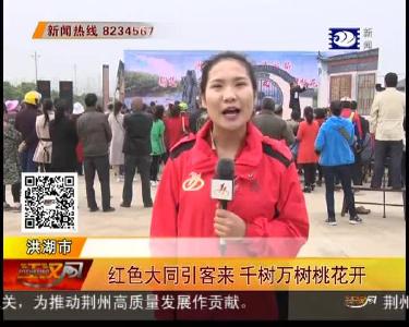 红色大同引客来 千树万树桃花开