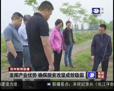 发挥产业优势 确保脱贫攻坚成效稳固