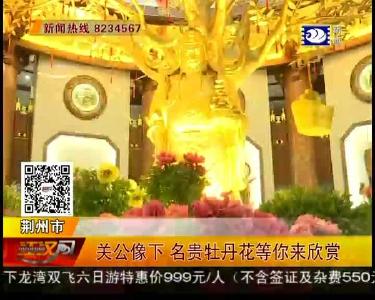 关公像下 名贵牡丹花等你来欣赏