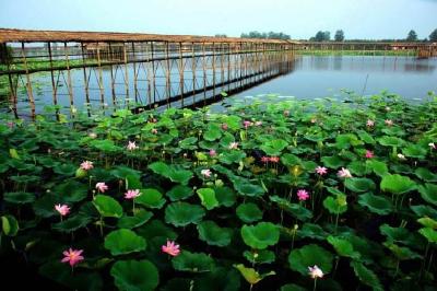 洪湖推进河湖生态治理修复 让大湖重现昔日芳华