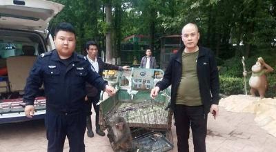 哭笑不得！“猴哥”闯进村民家，大吃大喝当是自己家