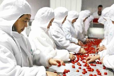 荆州农产品加工规上企业首季实现加工总产值183.98亿