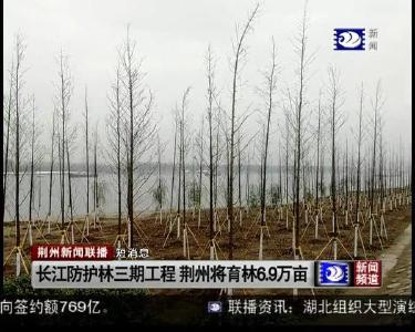 短消息：长江防护林三期工程 荆州将育林6.9万亩