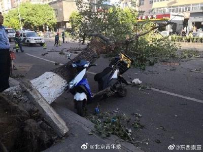 北京遭强风袭击！4人身亡，航班经历惊魂一刻