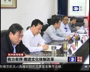 2019年市委文化体制改革专项小组第一次会议