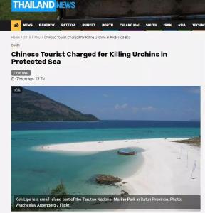 中国游客在泰国“杀死”海胆被诉？真相是…