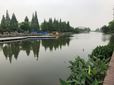 荆州中心城区黑臭水体整治：为有源头活水来